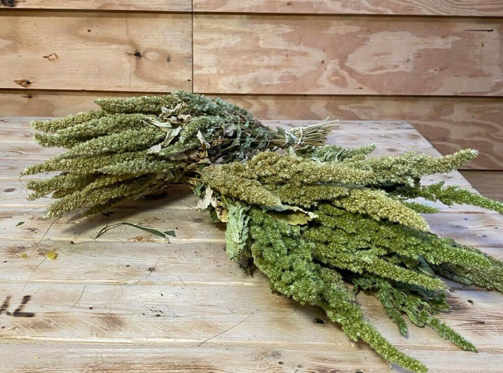 Droogbloemen Amaranthus