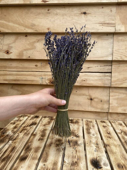 Droogbloemen Lavendel | Naturel
