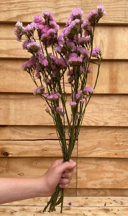 Droogbloemen Statice | Roze