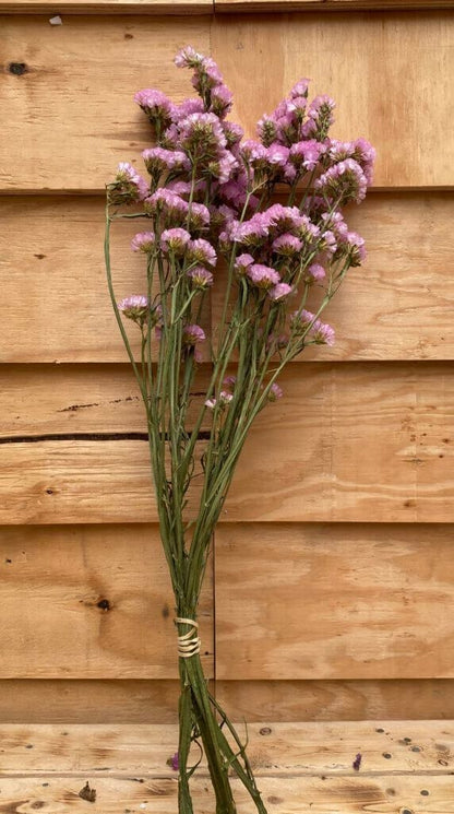 Droogbloemen Statice | Roze