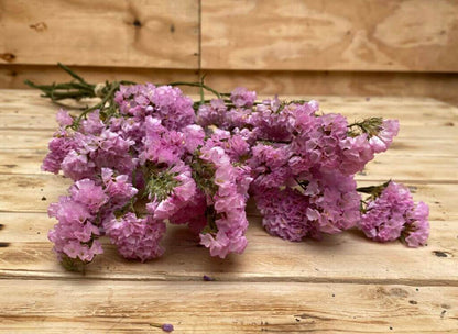 Droogbloemen Statice | Roze