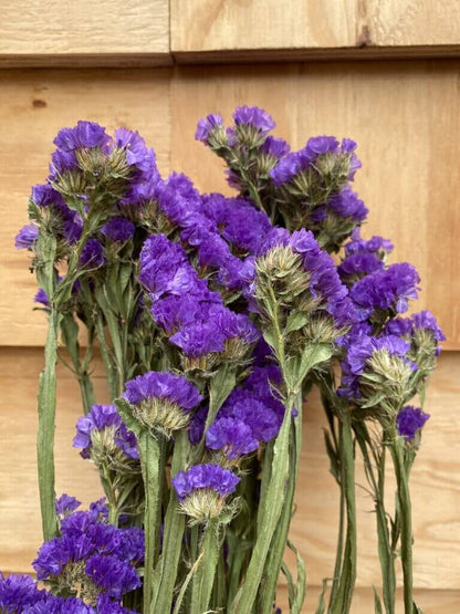 Droogbloemen Statice | Blauw