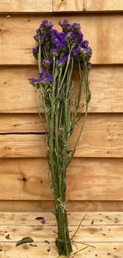 Droogbloemen Statice | Blauw