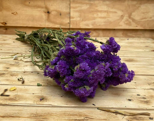 Droogbloemen Statice | Blauw