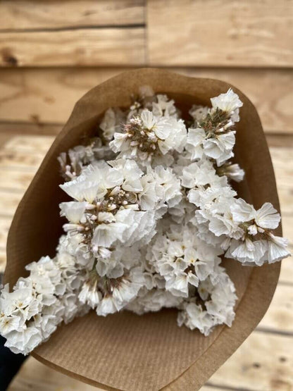 Droogbloemen Statice | Wit | Half Bosje