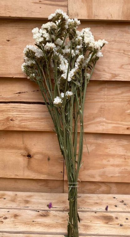 Droogbloemen Statice | Wit
