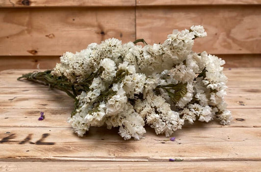 Droogbloemen Statice | Wit
