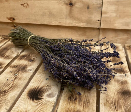 Droogbloemen Lavendel | Naturel